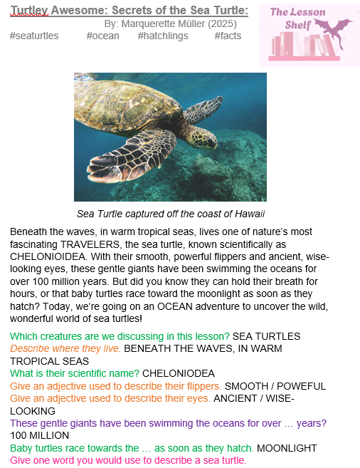 S2C Lesson: Turtley Awesome: Secrets of the Sea Turtle - Image 2