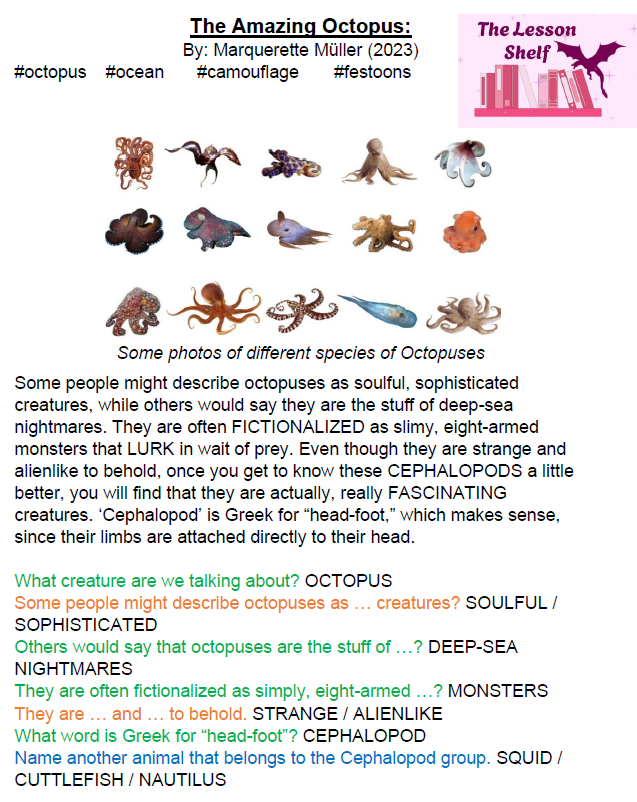 S2C Lesson - The Amazing Octopus - Image 2
